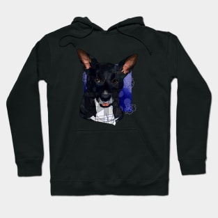 Lexi Hoodie